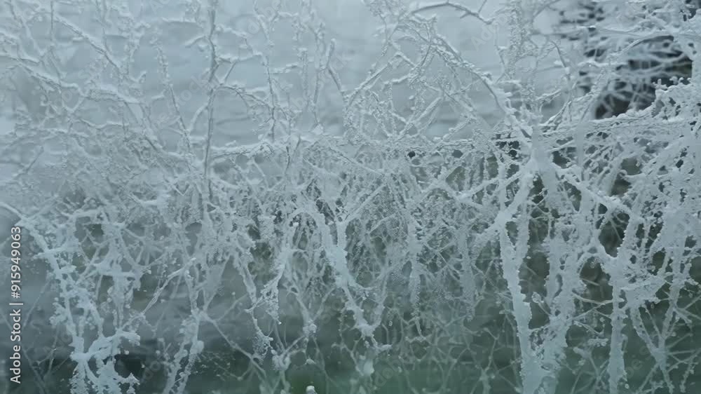 Poster A slow pan across a window captures the incredible detail of an elaborate frost pattern with delicate branches and intricate designs.