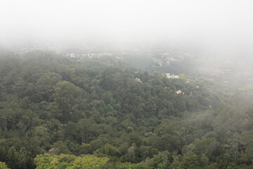 A misty mountain view with a touch of green