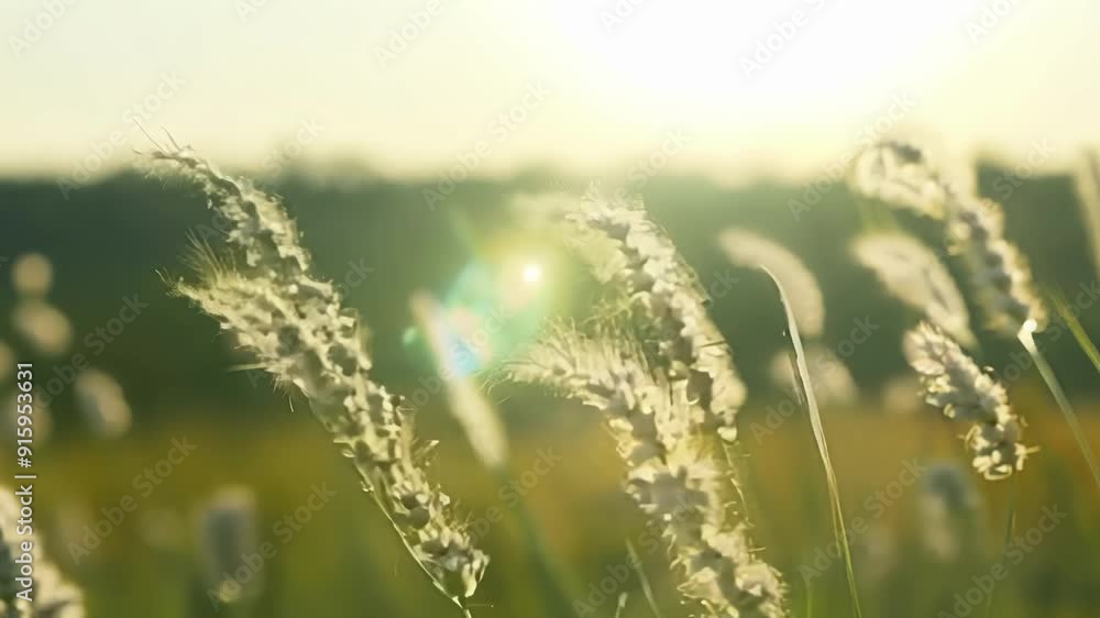 Aufkleber a group of grass flowers sway gracefully in the wind their delicate forms creating a peaceful and se