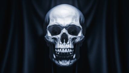 Obraz premium Eerie Skull Portrait with Dark Drapes with Copy-Space