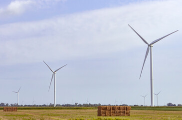 Wind Turbines Scattered Over Agriculture Landscape