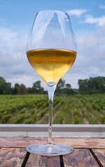 A Glass of Viognier White Wine with Backdrop of a Vineyard on a Summer Day