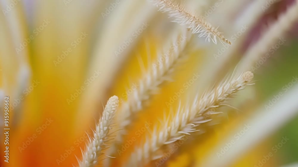 Poster View of a flowers stamen showing its intricate network of filaments and anthers.