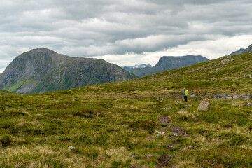 Fototapeta premium lonely blonde female hiker in the woods of isfjorden on the trail to massvassbu on a cold summer day