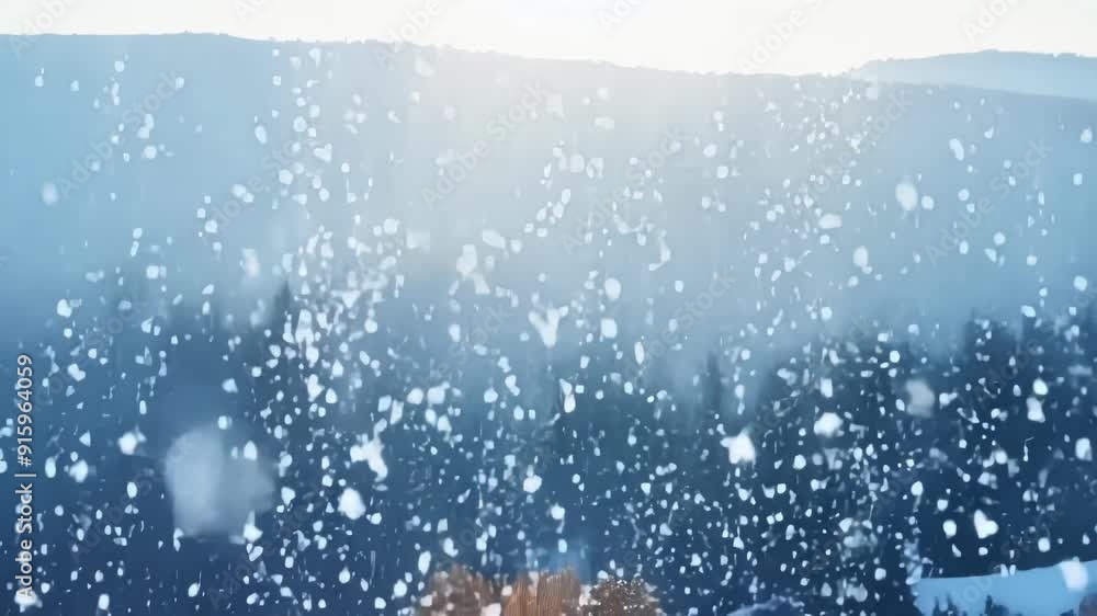 Poster A timelapse of a snowy landscape with the snowflakes growing in size and number as they accumulate on the ground before gradually melting away.