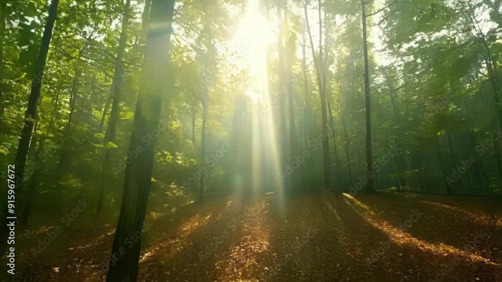 Aufkleber The constant shift of light as the trees sway in the breeze creating a mesmerizing dappled effect on the forest floor below.