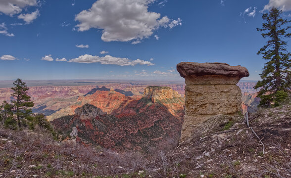View from Siegfried Spire from Atoko Point, Siegfried Pyre, North Rim, Arizona, USA