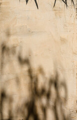 Abstract natural tree leaves shadow on wall background