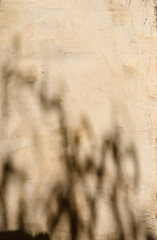 Obraz premium Trendy photography effect of sun light reflection over white background for overlay, plant branches shadow