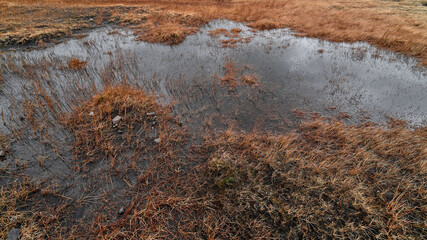 Water reflecting a cloudy sky in the middle of a swamp