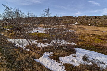 Snow slowly melting in the icelandic tundra on a sunny day