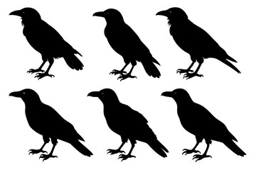 Various Styles of Crow Vector Line Art