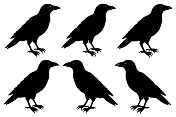 Various Styles of Crow Vector Line Art