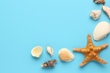 Starfish and shells on blue background