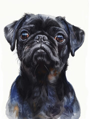 A detailed illustration of a black pug with expressive eyes and a proud demeanor.