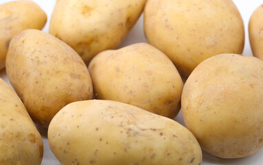 many potatoes texture white background