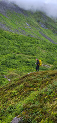 Fototapeta premium male hiker in the fjord of Andalsnes - Isfjorden in Norway hiking on a rainy cloudy day in the mountains of Massvassbu