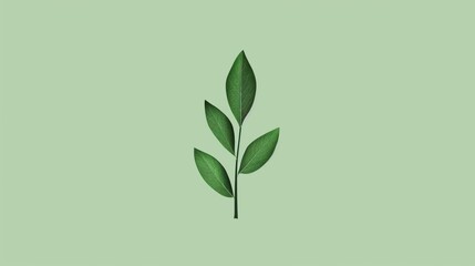 Obraz premium 2D illustration of a green nature leaf with basic shapes on a neutral color background in a simplicity of drawing in a minimalist vector style