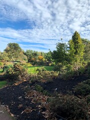 Landscaped grounds around the University of Edinburgh