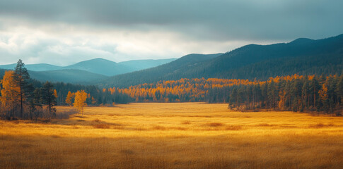 Fototapeta premium Beautiful autumn landscape with a golden field, forest, and mountains in the background