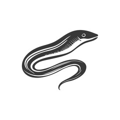 Obraz premium Black and White Illustration of a Moray Eel