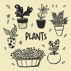 Plantas en macetas vectorial editable, plants, doodles, icon, maceta, naturaleza, home, hogar,