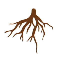 Tree Roots Clipart Vector 