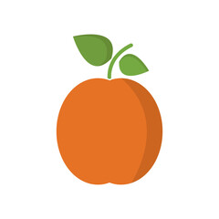 Apricot