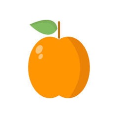 Apricot