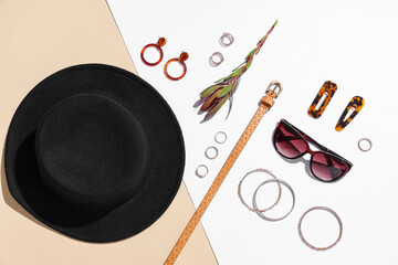 Composition with stylish female accessories and plant branch on color background