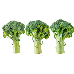 broccoli isolated  on transparent background png