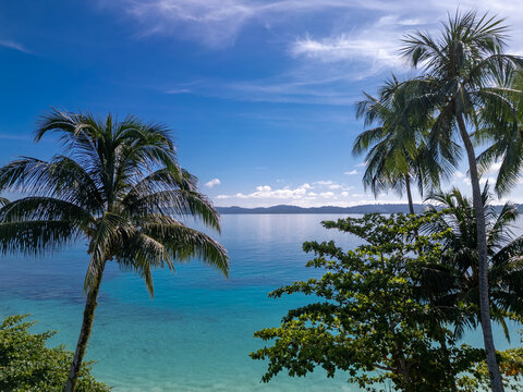 Palm trees on a tropical beach, Samaleko island (Pulau Samaleko), North Sumatra, Indonesia
