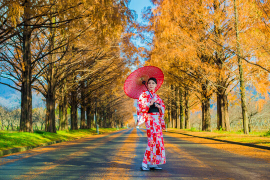 Young woman in a traditional kimono standing in the middle of an autumnal road holding a parasol, Shiga, Kansai, Honshu, Japan