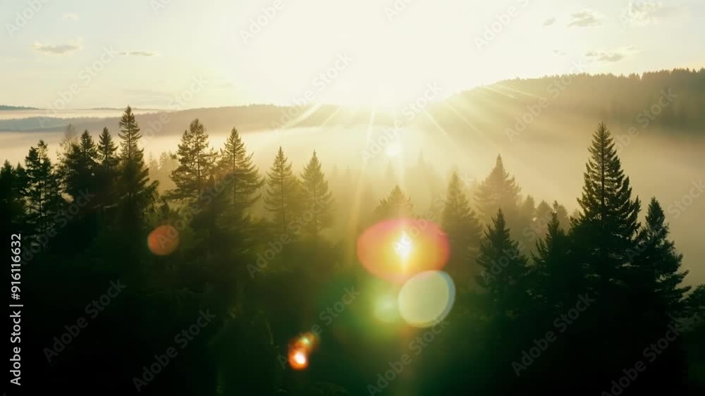 Poster as the sun rises above the treetops its rays pierce through the misty rainforest creating a beautifu
