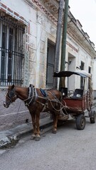horse and carriage in Cuba