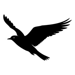 eagle flying vector silhouette