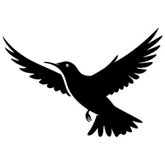 eagle flying vector silhouette