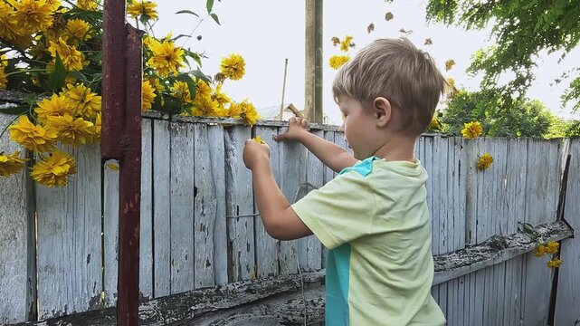 Naughty, aggressive child picks flower petals in the garden. Concept of preschool education, sensory development of children, research, discoveries, Montessori, prohibitions, rules of conduct, nature