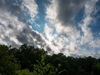 Obraz premium clouds and sky