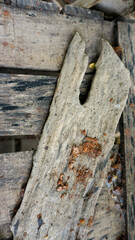 Wooden texture for background