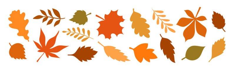 Silhouettes of colored autumn leaves isolated on white background