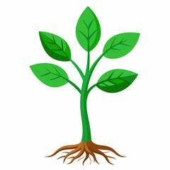 tree isolated vector illustration