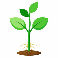 tree isolated on white background vector illustration