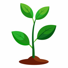 Nature inspired tree roots vector