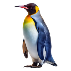 Obraz premium A penguin standing on transparent background