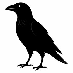 Crow isolated on white background, crow vector illustration, bird on a branch vector art, crow silhouette, bird vector icon, peacock on a branch line art, eps, raven on a branch cartoon
