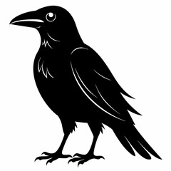 Crow isolated on white background, crow vector illustration, bird on a branch vector art, crow silhouette, bird vector icon, peacock on a branch line art, eps, raven on a branch cartoon