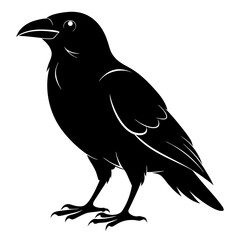 Crow isolated on white background, crow vector illustration, bird on a branch vector art, crow silhouette, bird vector icon, peacock on a branch line art, eps, raven on a branch cartoon