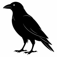 Crow isolated on white background, crow vector illustration, bird on a branch vector art, crow silhouette, bird vector icon, peacock on a branch line art, eps, raven on a branch cartoon