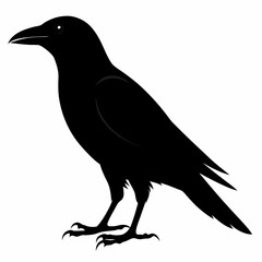 Crow isolated on white background, crow vector illustration, bird on a branch vector art, crow silhouette, bird vector icon, peacock on a branch line art, eps, raven on a branch cartoon